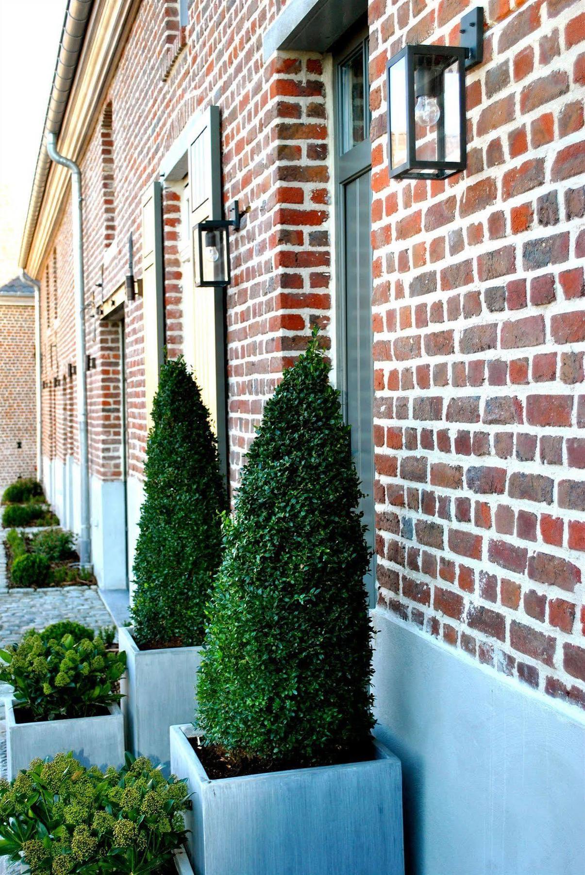B&B Louis1924 Dilbeek Buitenkant foto